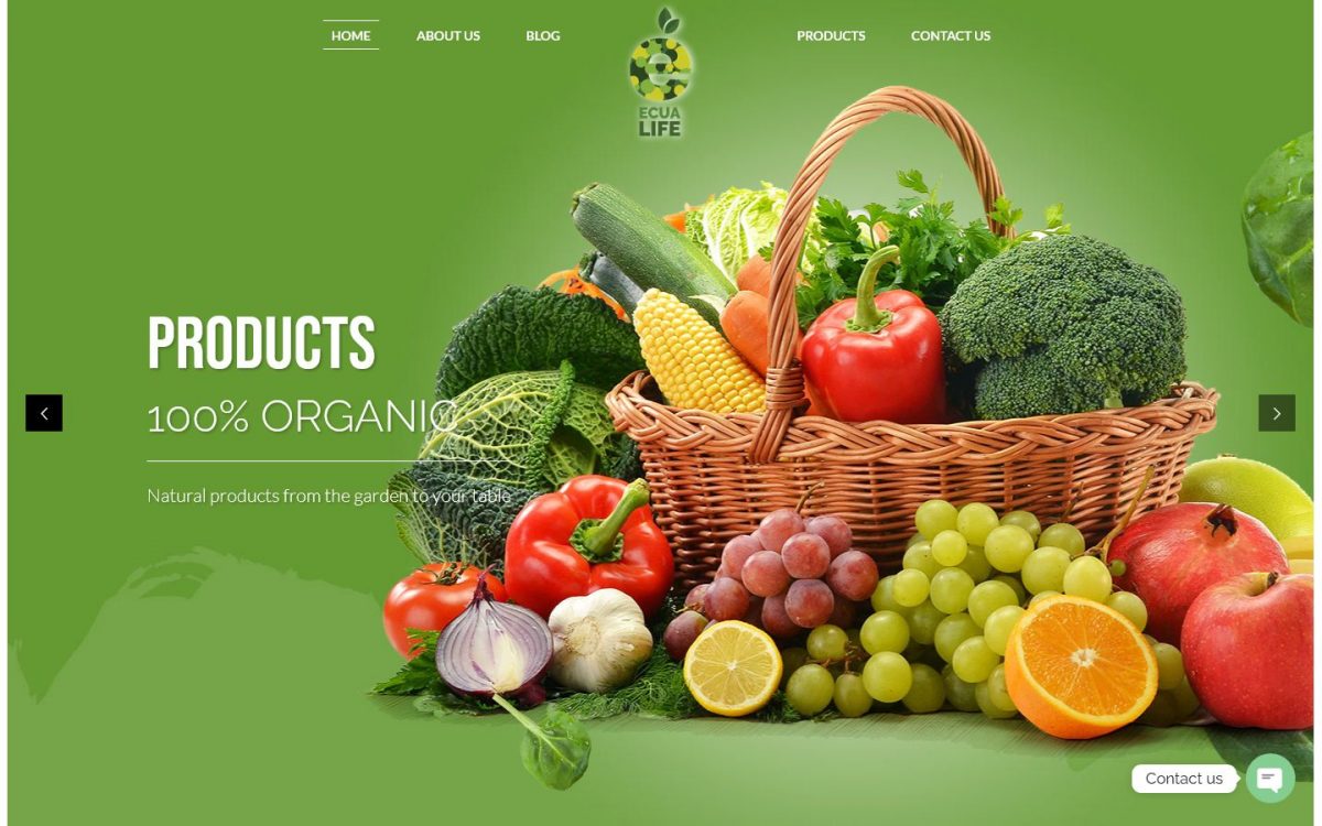 FireShot Screen Capture #705 - 'Ecualife' - ecua.life