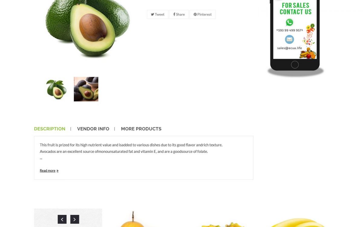 FireShot Screen Capture #710 - 'Avocado – Ecualife' - ecua.life